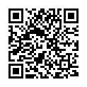QR Bacillol 30 Sensitive Tissues 40 Stück buy online