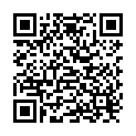 QR Neocid Expert Fliegenfaenger 4 Stück buy online