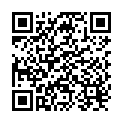 QR Sterillium Dispenser 475ml Emma Mint buy online