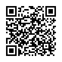 QR Sentina Schutzauflagen 75x210cm 100 Stück buy online