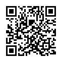 QR Amidon Clavi Stärke 500g buy online