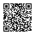 QR Evotears Augentropfen Tropffl 3ml